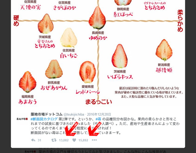 苺の断面図カタログ、13,000リツイート突破＼(^o^)／