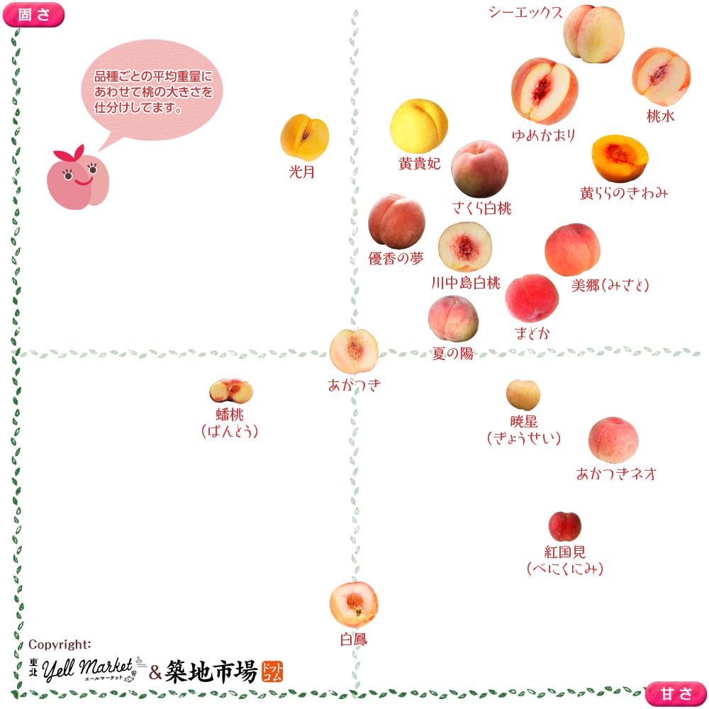 実録 桃の家系図がバズッた記念に 桃の3部作をまとめて公開しまーす O Toyosu Blog 市場から情報発信