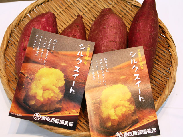 千葉県JAかとりのシルクスイート試食宣伝が行われました。