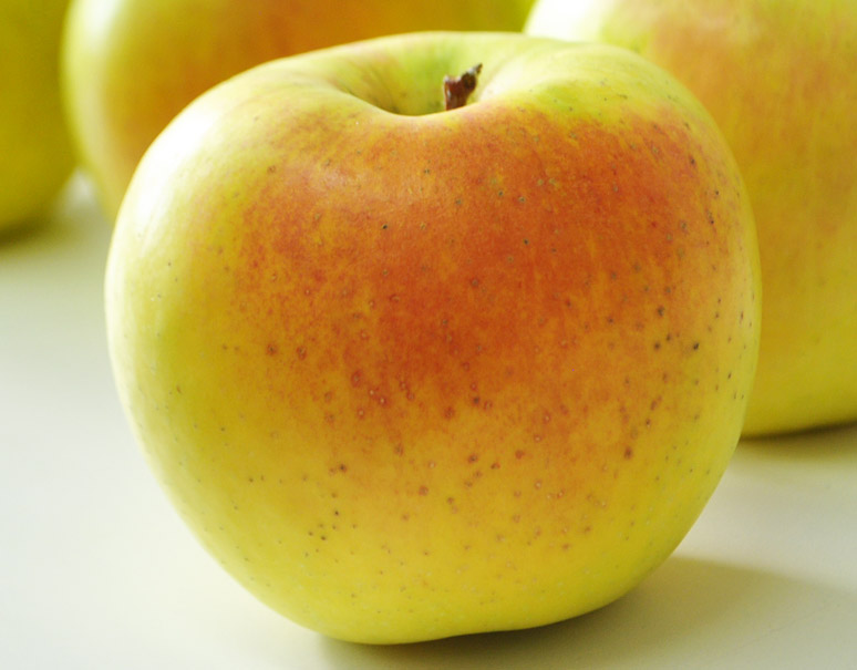 全国どの地域でつくっても「ぐんま名月」と呼ばれる、黄色いりんごをご存知ですか？