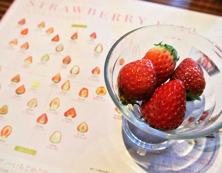 期間中、何度も楽しめる！琵琶湖ホテルの苺のスイーツビュッフェ「ストロベリーフェア～いちごめぐり～」に行って来ました！（第3回）