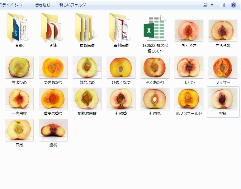 桃の家系図18 全143品種のうち63品種を新たに追加 桃の断面図に差し替えでバージョンアップしたよー O Toyosu Blog 市場から情報発信