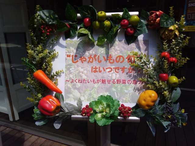 【豊岡加奈子の野菜ノート】【野菜ソムリエ】よくねたいもアカデミックレストラン