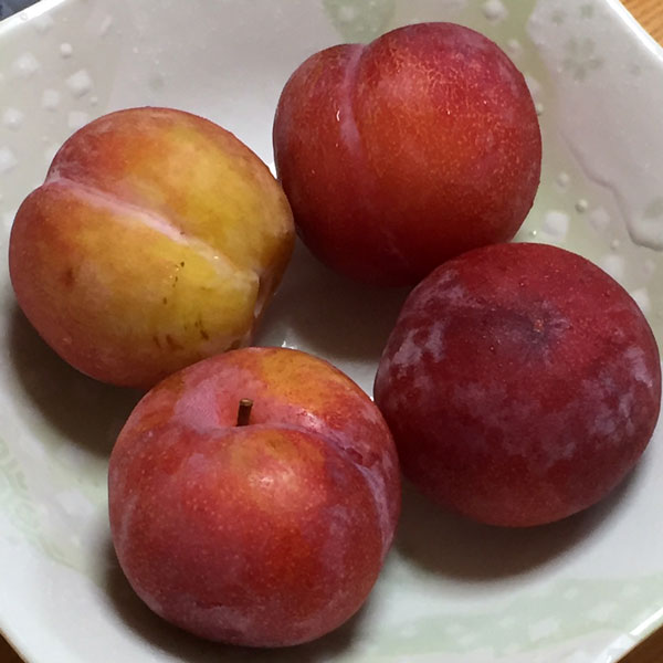 甘さと酸味のバランス最高 真夏に食べたい山梨県産 サマーエンジェル Toyosu Blog 市場から情報発信