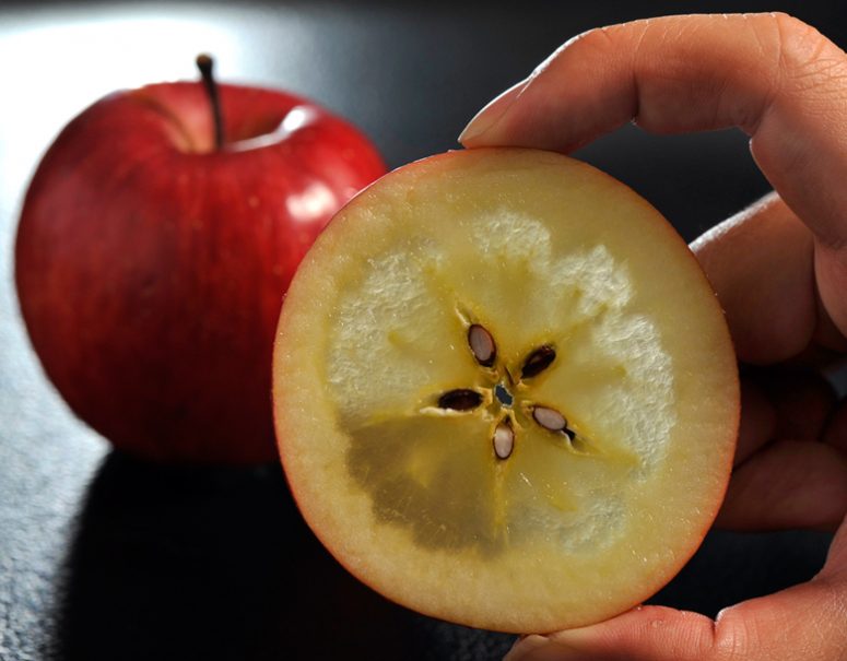 これぞ究極の蜜入りりんご！『青森県産 こみつ』で味と香りの贈り物♪