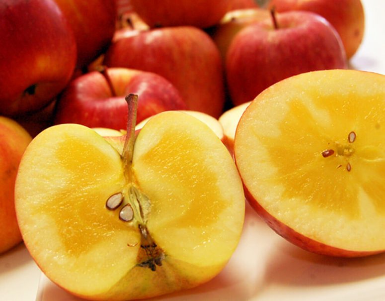 超小玉の食べきりサイズがお買い得！究極の蜜入りりんご「こみつ」 / 魚沼産“こがねもち”１００％使用「杵つき餅」
