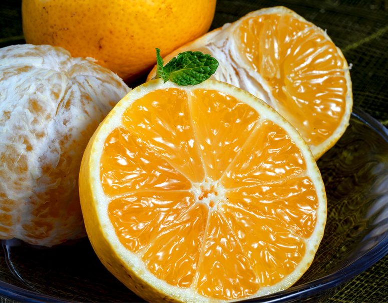 熊本で発掘！トロピカルな香りの黄色い新柑橘「パインみかん」