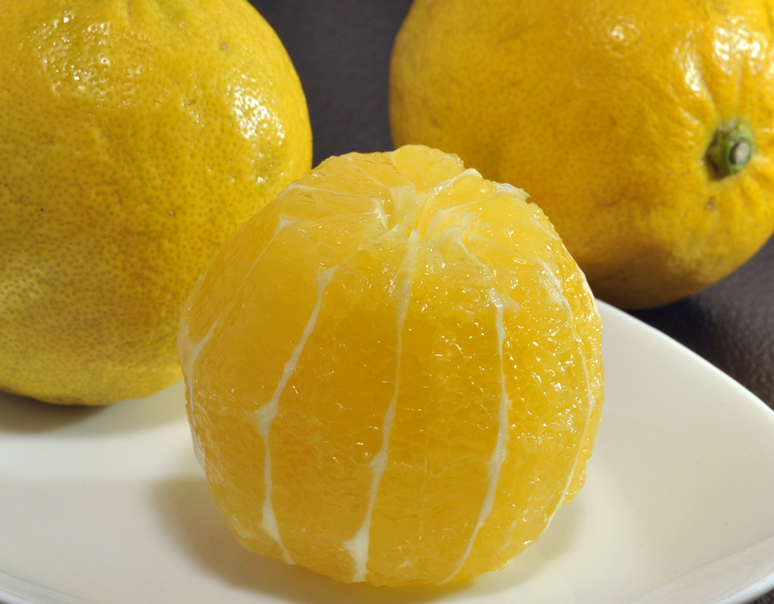 甘くて酸っぱい新感覚のレモン『レモネード』まとめ買いが断然お得！