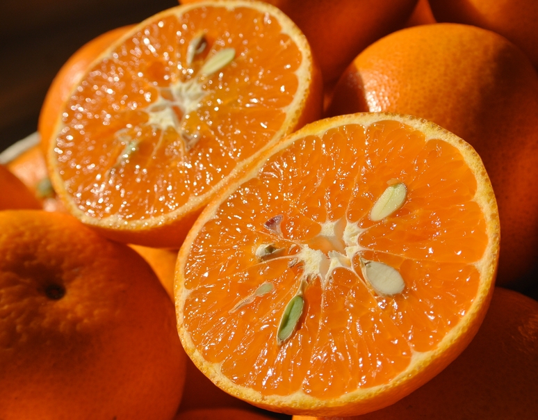訳あり「津之望」新柑橘が今回限りの特別価格！キズ多め５キロ！送料無料でお届け♪
