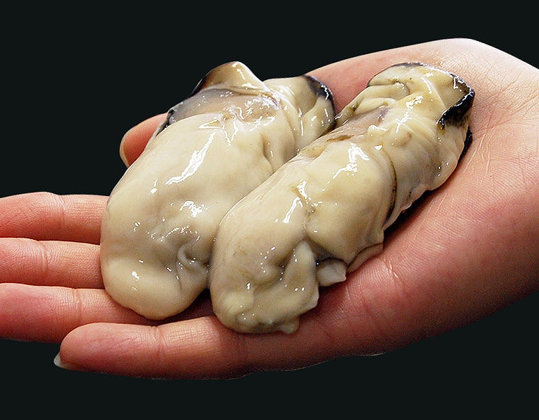 当店一番人気の「大粒・邑久牡蠣」が ＃元気いただきますプロジェクト で送料無料！ ＆ 貴重な手焼き鰻
