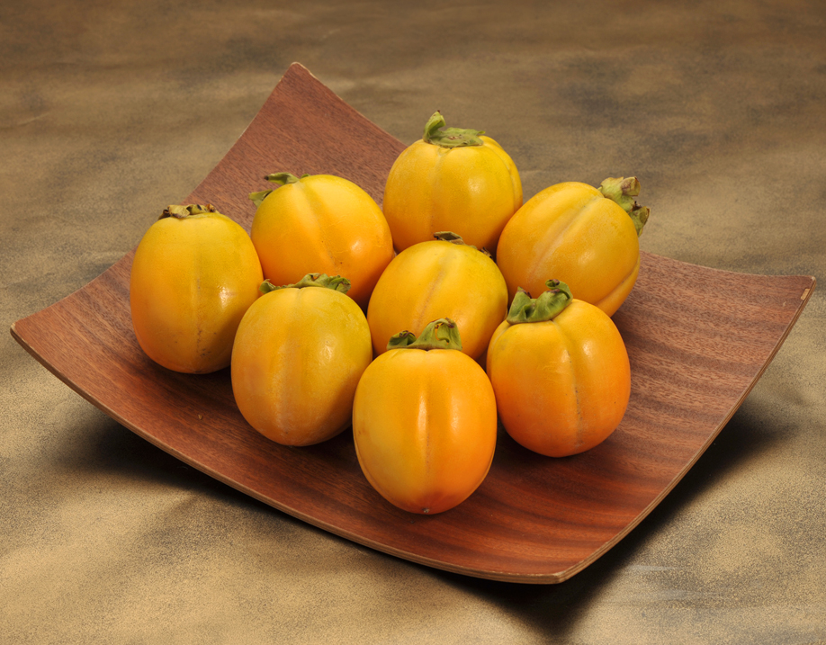 ご存じですか？「西条柿」濃厚で後を引く極甘の柿。日本の農業の中でも最古種に近いフルーツです！