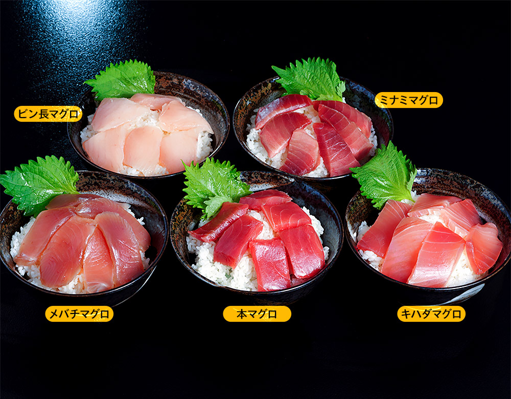 ５種のマグロ丼食べ比べ １食あたり４６４円 静岡クーポンで 送料無料 オフ Toyosu Blog 市場から情報発信