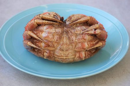 蟹の解凍方法 剥き方 Toyosu Blog 市場から情報発信