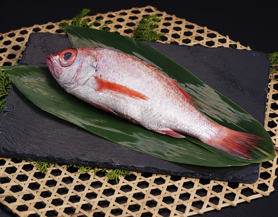 高級魚『のどぐろ』行先を探してます、、週末に焼きでどうぞ⇒2700円/真鱈の本白子・クエもございます