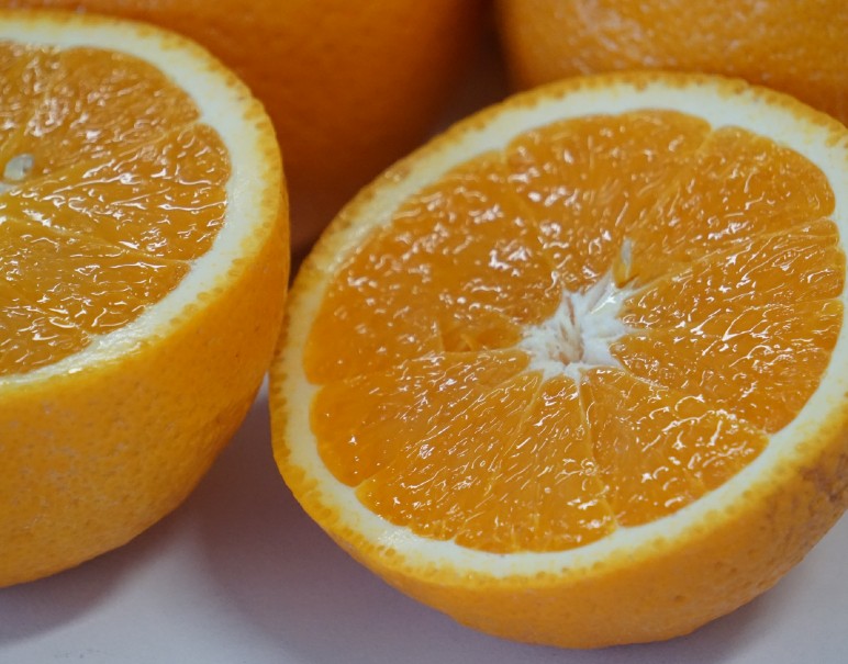 3tのバレンシアオレンジが行き場を失っています…生搾りジュースで大量消費！15kgで<送料込み ¥4,980>