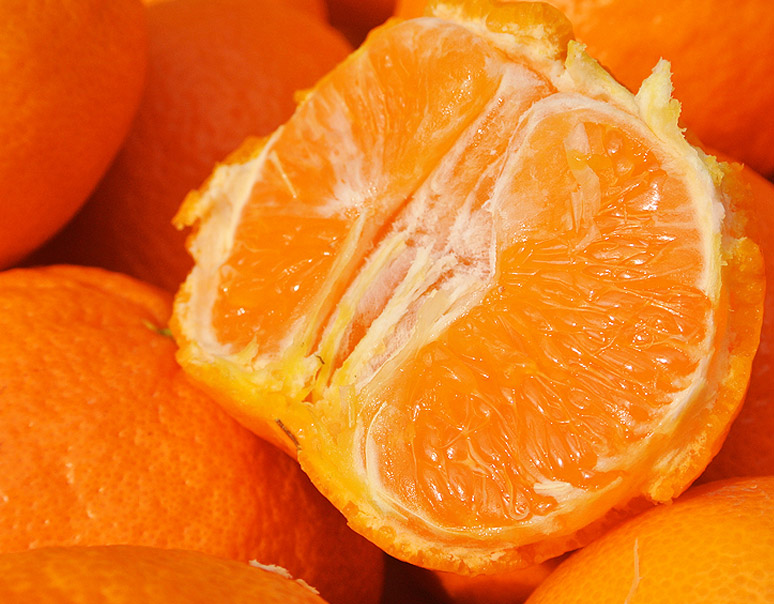 3回目のご紹介…「つのかがやき」　自信を持って紹介する柑橘なので、召し上がってみてください！
