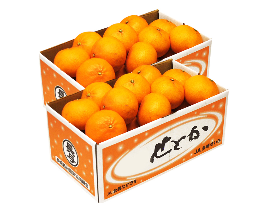 高級柑橘「せとか」の訳あり品を応援価格でお届け！ 2.5kg × 2箱 ⇒【4 , 0 0 0 円】