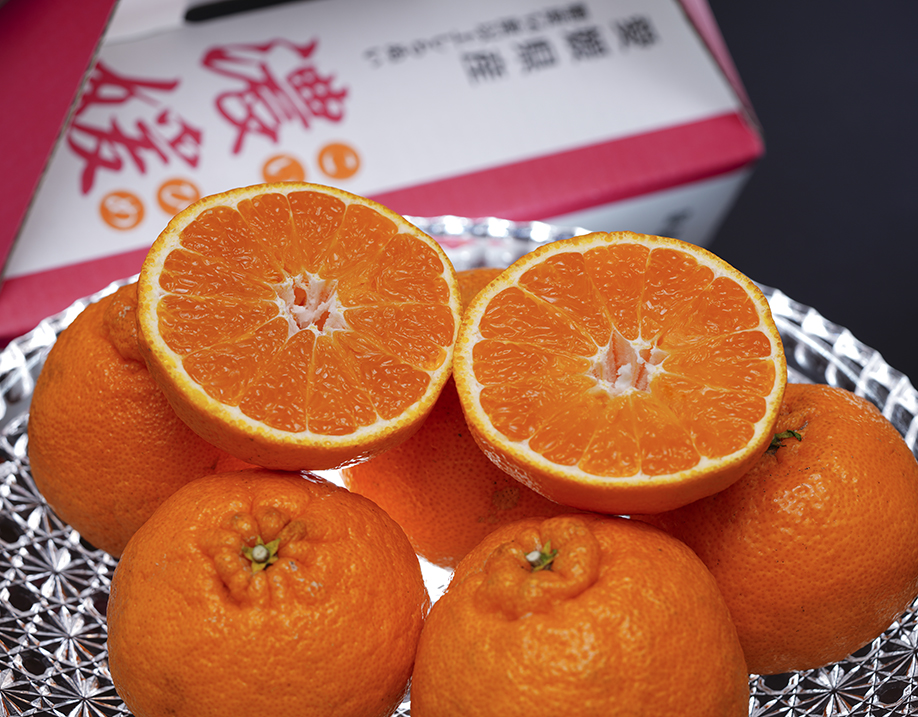 驚きの“濃い味”！糖度14度以上の新ブランド柑橘『濃媛（こいひめ）』 デコポンより高い基準で選果！ ＆ プリンセスほおずき