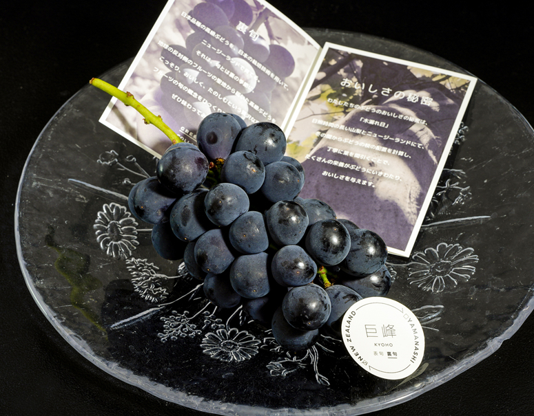 「1年中 美味しいブドウを届けたい！」ブドウ農家 樋口さんがニュージーランドで生み出す巨峰 ／ 高知の小夏は甘酸っぱい爽やかな柑橘