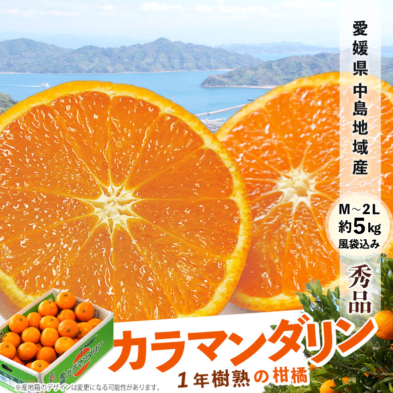 【限定100箱】みかん好きに食べて欲しい！1年熟成 中島地域の一押し柑橘│『クラウンメロン』特別販売