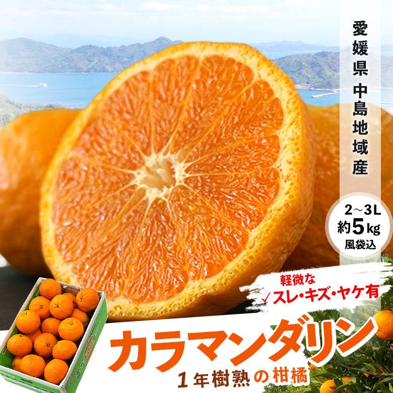みかん好きに食べて欲しい！1年熟成 中島地域の一押し柑橘 規格外
