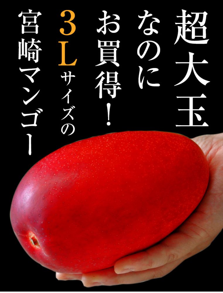 見て！3L宮崎マンゴーが”大きい”のにお得/くまもんノベルティ付き『熊本メロンセット』