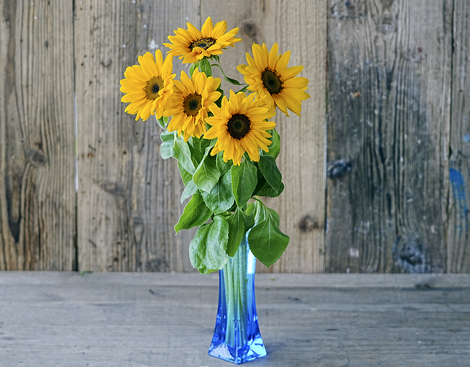6月の切り花『向日葵』透明な青の花瓶付き /長く楽しむための3種6個の花瓶＋お花セット/父の日は黄色を贈ろう
