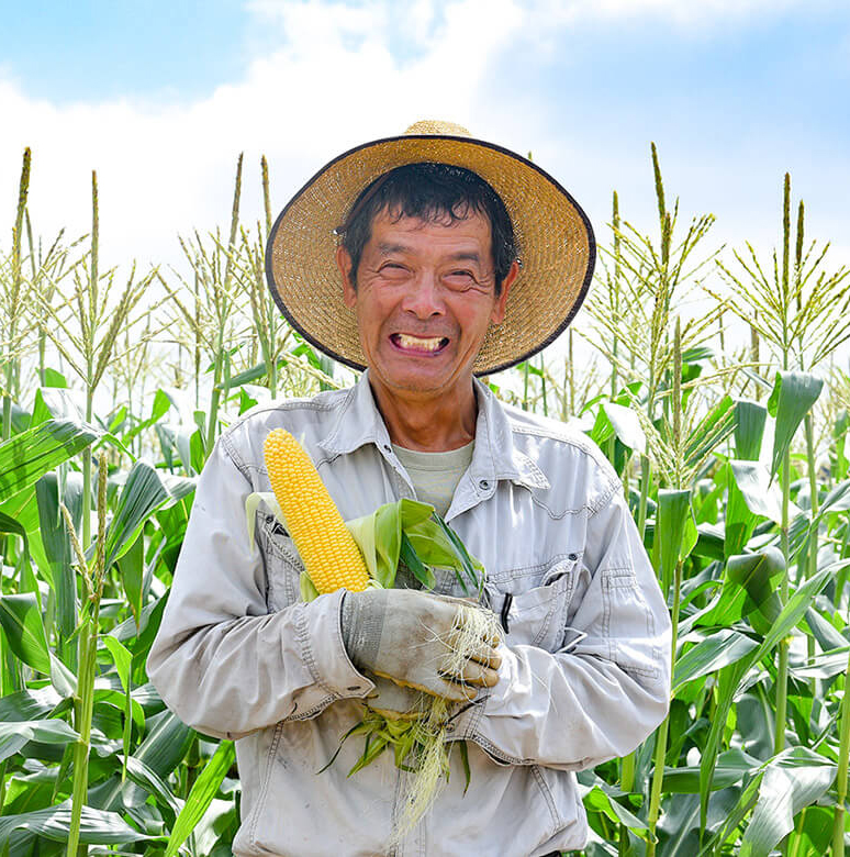 朝もぎトウモロコシが、収穫日に到着！豊洲市場ドットコムの特別企画【豊洲きょう着く便】