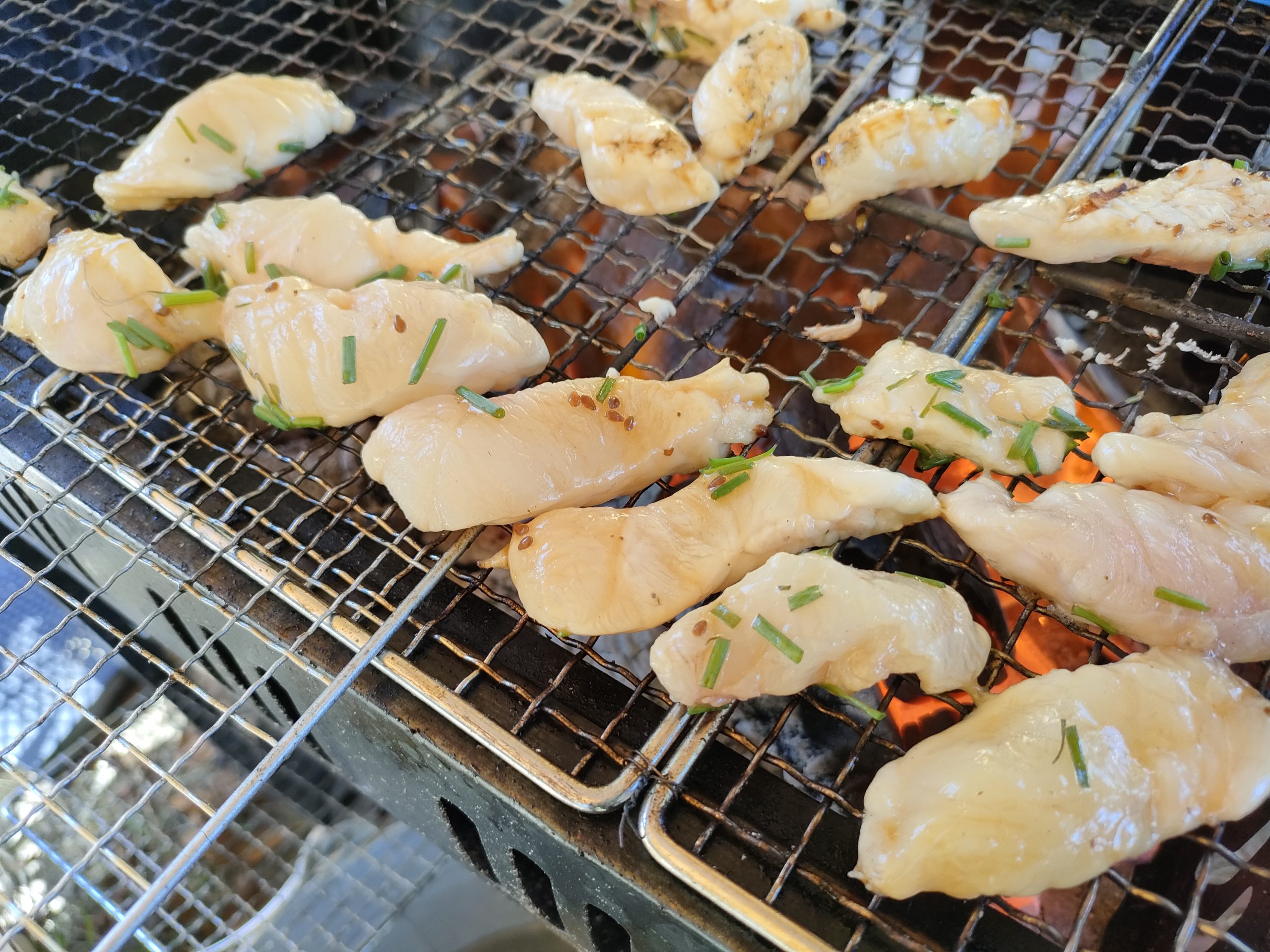焼きフグって楽しい 豊洲市場ドットコムのウラガワ 焼きフグって楽しい 豊洲市場ドットコムのウラガワ