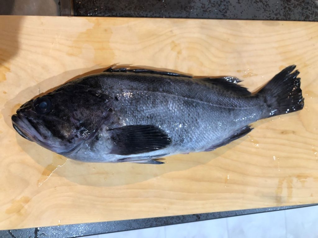 北国では日常食的な魚 黒ソイ 豊洲市場ドットコムのウラガワ