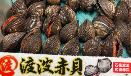 タガの豊洲市場日記：渡波赤貝、仙鳳趾牡蠣、紀南の小梅、新レンコン 他