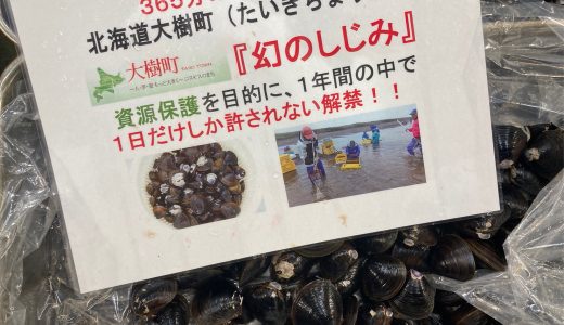 タガの豊洲市場日記：北海道大樹町の幻のしじみ、ふぐさし瓶詰め、さくら天恵菇 他