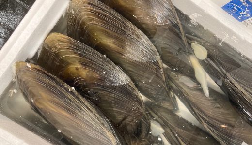 タガの豊洲市場日記：スゴモロコ、平貝、芽キャベツ 他