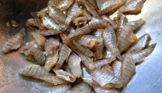 豊洲市場には入荷しない瀬戸内のご当地小魚「テンジクダイ」を食べてみた。