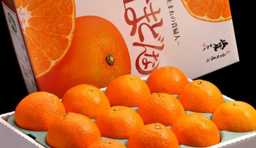 【毎週更新】みかん・柑橘 週間売上ランキングTOP5（12/1〜12/7集計）｜紅まどんなが2週連続1位！