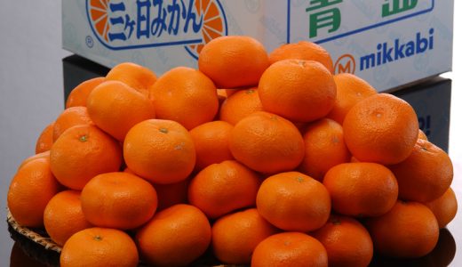 【毎週更新】フルーツ売上ランキングTOP5（1/19〜1/25集計）｜三ヶ日みかんが堂々の首位獲得！