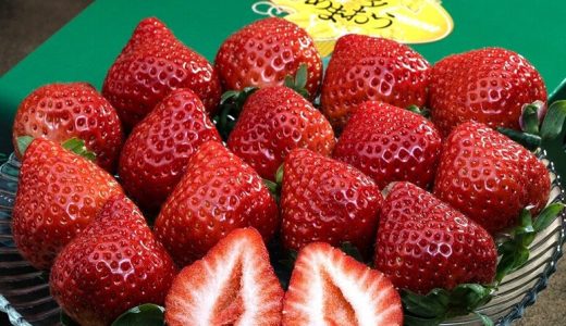 【毎週更新】いちご売上ランキングTOP5（1/19〜1/25集計）｜博多あまおうが首位奪還！