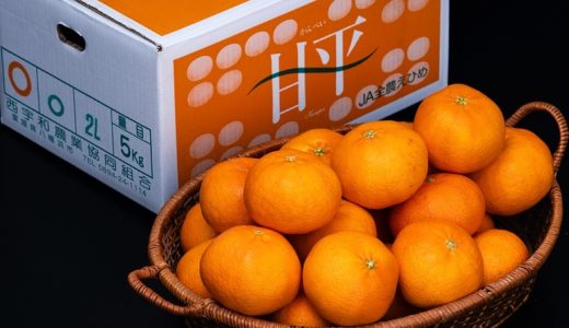 【毎週更新】みかん・柑橘売上ランキングTOP5（1/19〜1/25集計）｜三ヶ日みかんが堂々の1位！