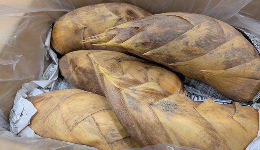 【豊洲市場の青果仲卸 政義日記】2/9-2/16