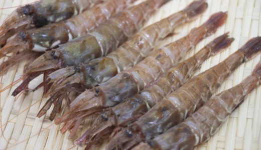 スター甘エビを凌ぐ実力派。金沢人がこよなく愛する「ガスエビ」【特派員ブログ】