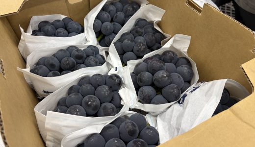 ぶどうも続々と入荷中！大注目の「ニューピオーネ」＆「晴王」