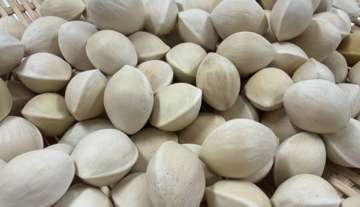 秋の味覚？新銀杏！