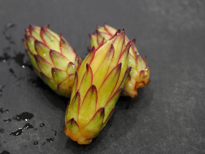 試食したドラゴンフルーツのつぼみの感想