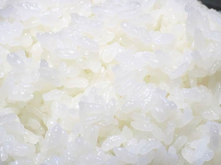 炊き上がったツヤツヤの葉月みのり